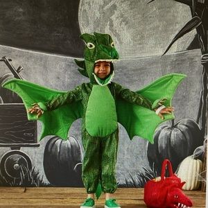 Pottery Barn Green Dragon Costume